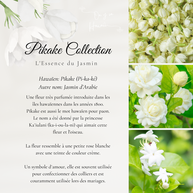 Boucles d'oreilles / Earrings - Pikake