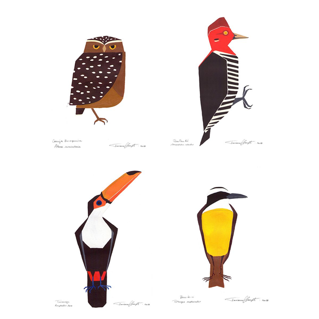 Conjunto de Reproduções "AVES BRASILEIRAS - SÉRIE 1"