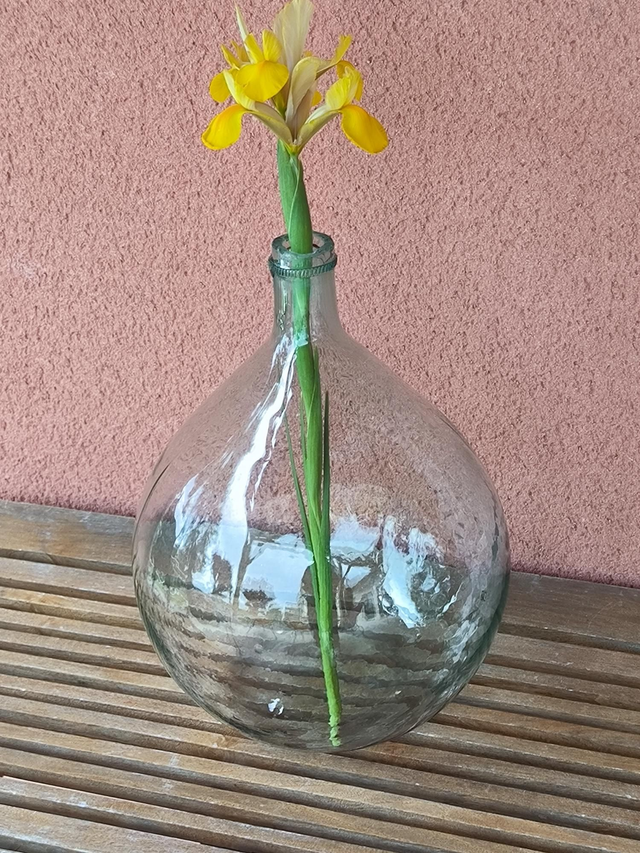 Dame Jeanne (10 litres - transparente)