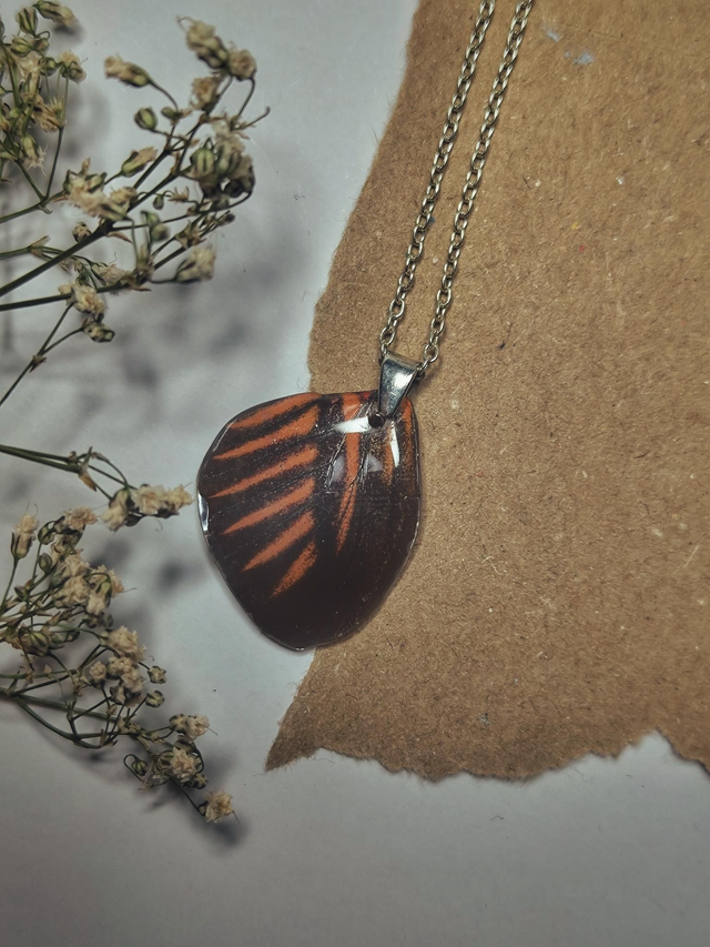 Butterfly Hind Wing Necklace
