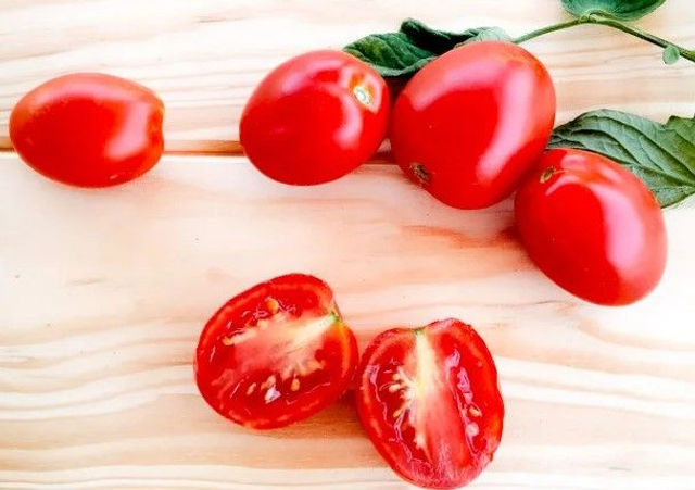 Tomate Cerise très précoce Rouge Early Cherry AB - Solanum lycopersicum 