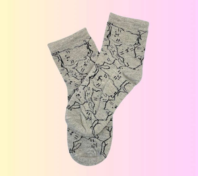 Chaussettes grises chats noirs