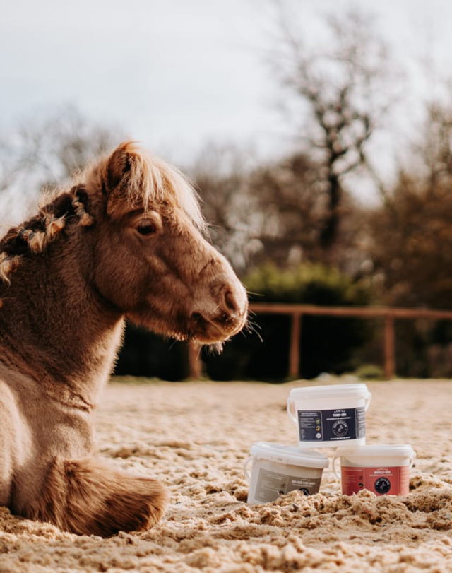 MUSCLE-ZEN – Cataplasme d’argile soulage muscles et articulations