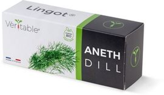 Véritable Lingot Dill - Organic