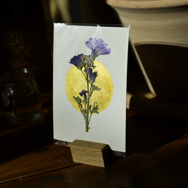 carte postale • mauve