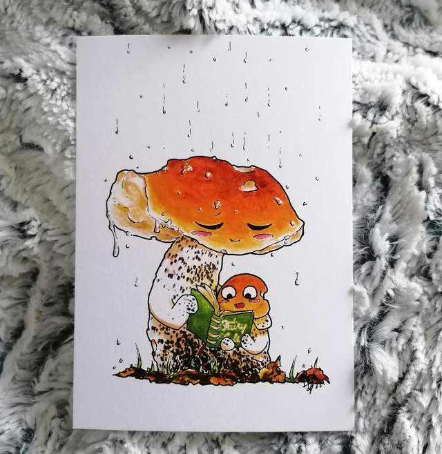 Carte postale Champignons