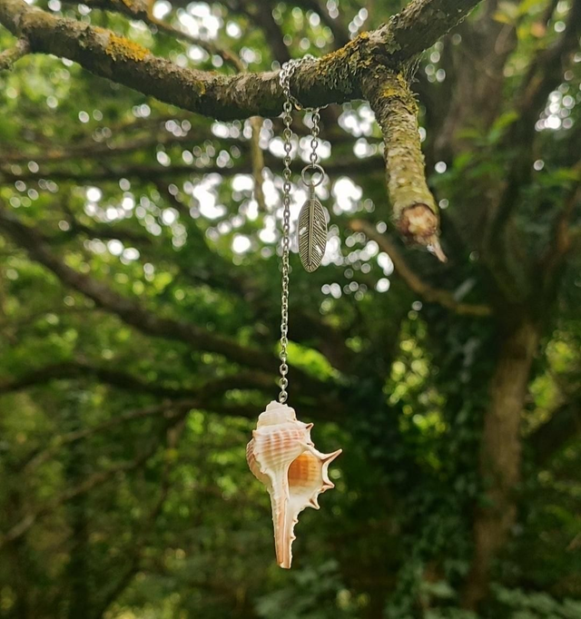 Pendule coquillage &quot;Murex&quot; #4