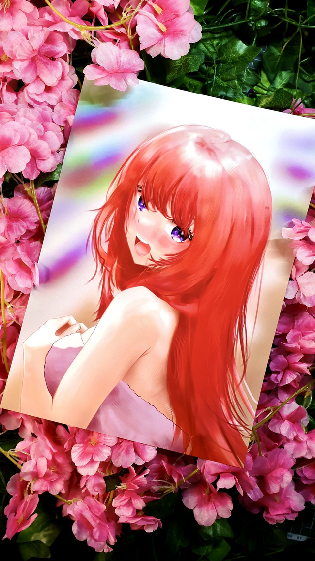 NINO • SÉRIE QUINTESSENTIAL QUINTUPLETS