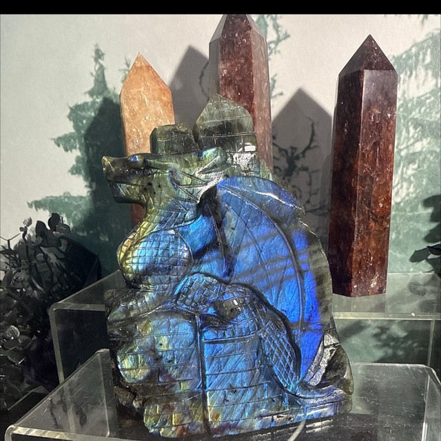 Flashy Lab dragon 0.98kg