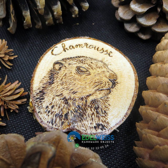 Chamrousse - marmotte