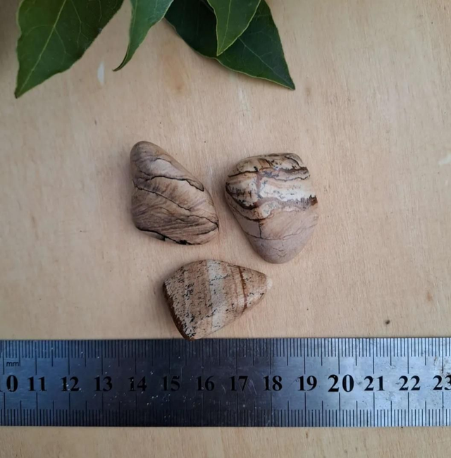 PICTURE JASPER TUMBLESTONE