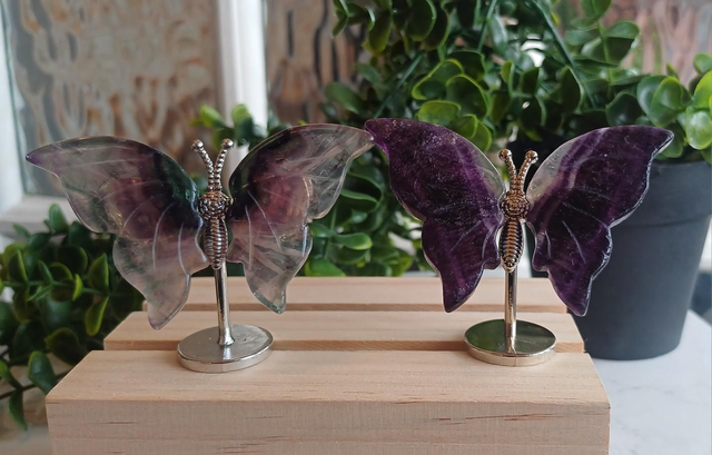 Fluorite Butterfly Wings on Silver Stand – Dark &amp; Light Fluorite 