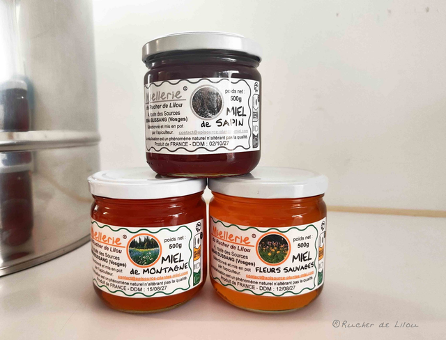 6 Miels de 500grs - 2x Sapin - 2x Montagne - 2x Fleurs Sauvages