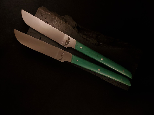 Duo de Couteaux de table Polygood