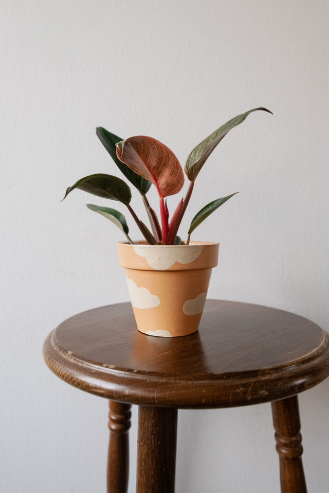 Pot handmade 'Vitamin Sky' 🧩 Mix & Match