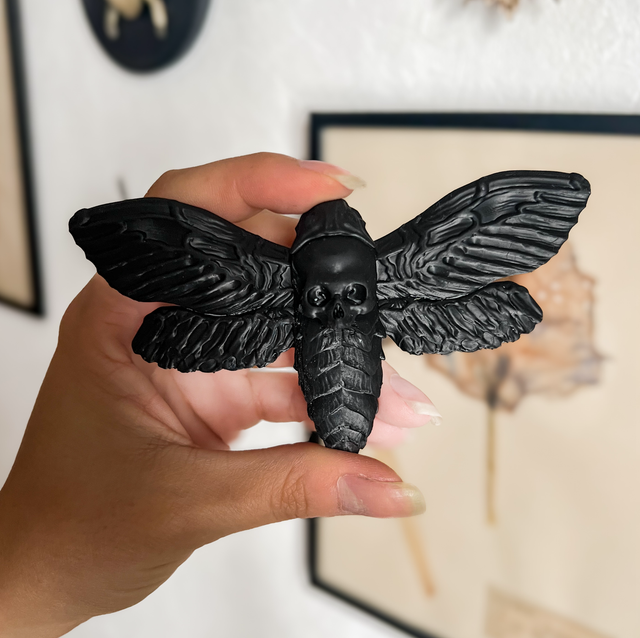 JUAN - Décoration murale papillon sphinx noir 