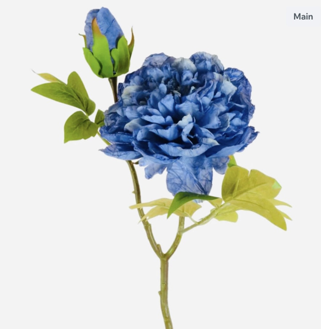 Dried Touch Open Peony Stem Blue 52cm 