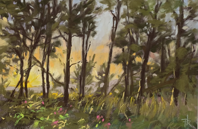 Soleil couchant à travers bois