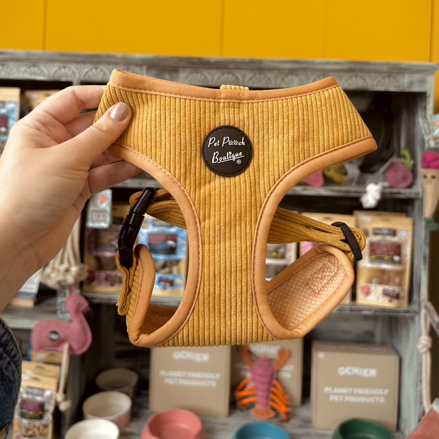 Pet Pooch Boutique Mustard Yellow Cord Dog Harness - Medium