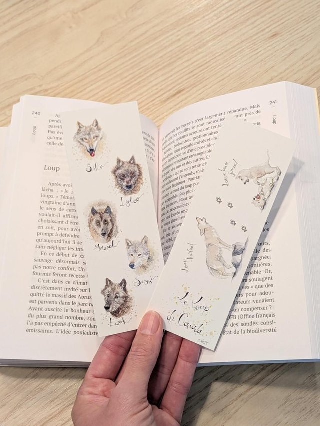 Marque-pages loups et louveteaux à l'aquarelle, 2 modèles