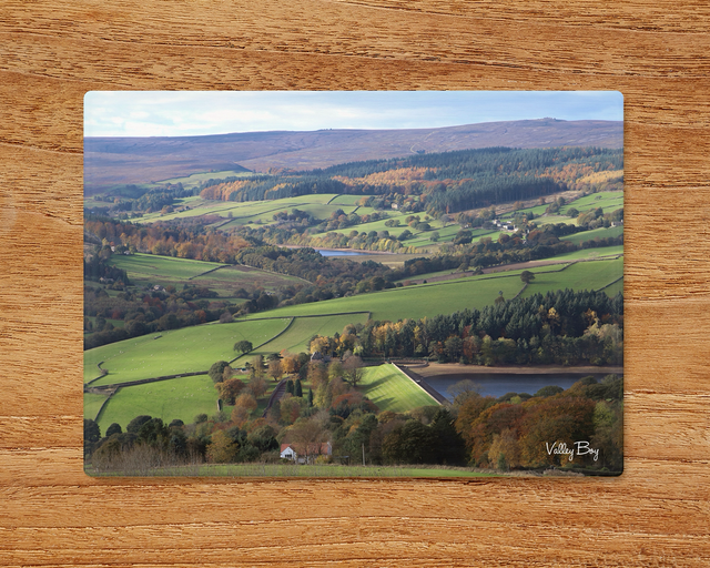 "Bradfield Landscape" Glass Worktop Saver 
