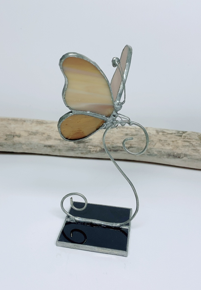 Papillon Marron Clair 