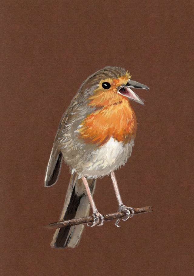 FineArt-Print - Rotkehlchen No.1