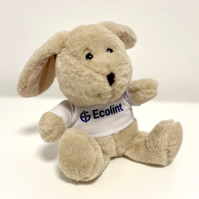 Bunny rabbit / Lapin en peluche