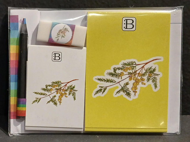 Leggi &amp; Colora - Kit Scrittura - I Fiori di Catia n. 2 - Mimosa