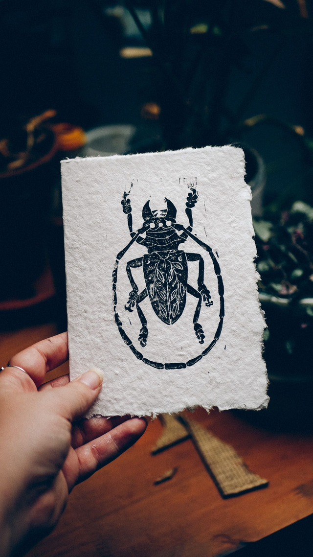 Atelier découverte - Linogravure