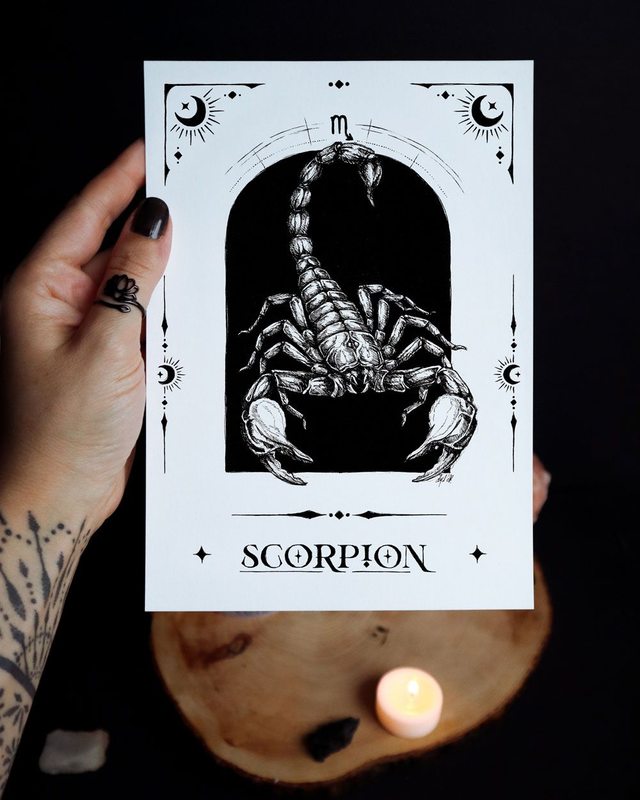 SCORPION • Zodiaque • Signe astrologique