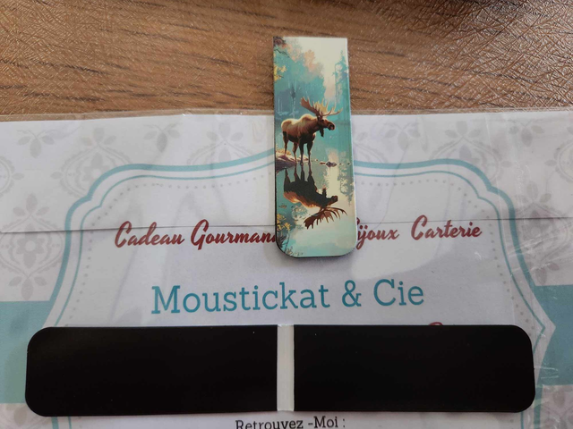 Marque-page magnétique&quot; Elan&quot; 