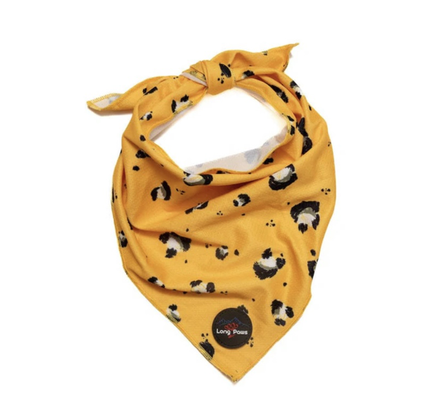 Funk The Dig Bandana - Mustard Panda