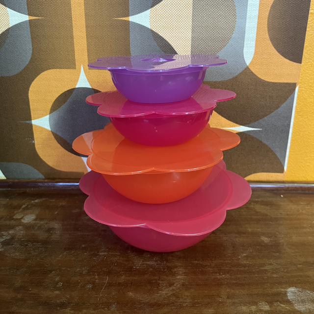 Boites marguerites colorées plastique conservation x4