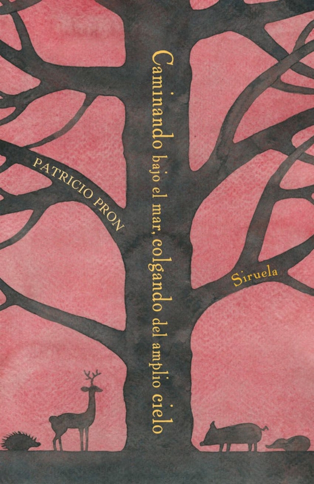 Caminando bajo el mar, colgando del amplio cielo - Patricio Pron