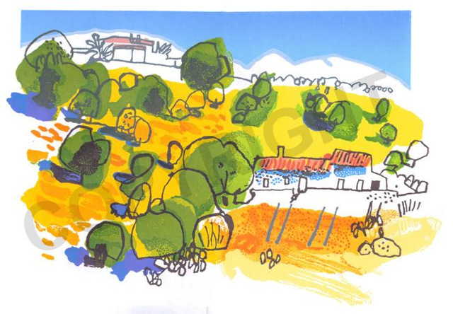 Spainish Raisin Field