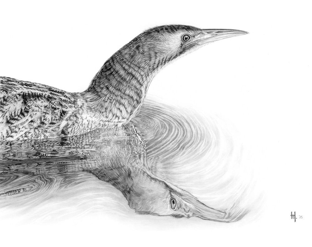 'Booming Again' - Original framed graphite pencil drawing