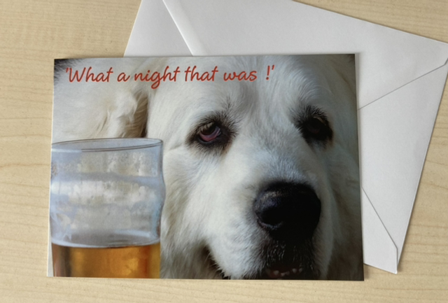 ‘What a night that was!’