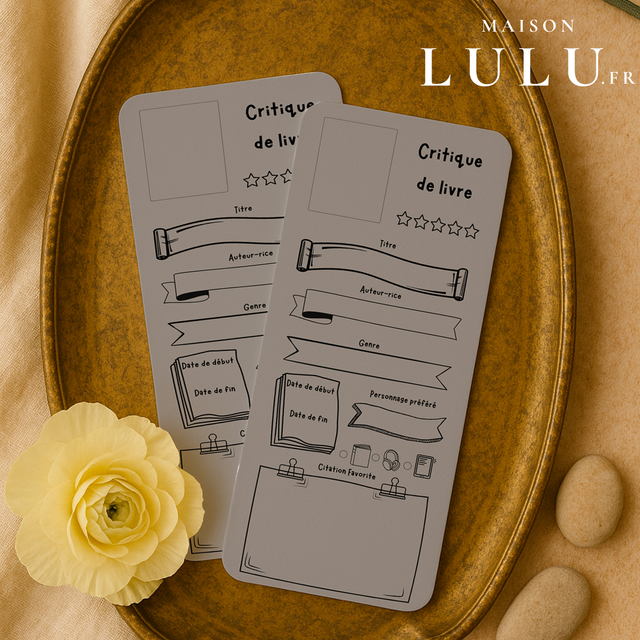 Marque page, Signet critique de livre, 11 couleurs