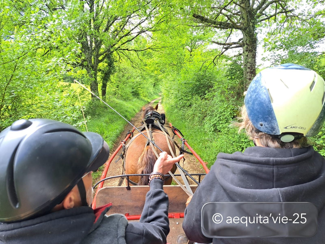 Balade en Calèche & L'hippocampe (tricycle) du PNR