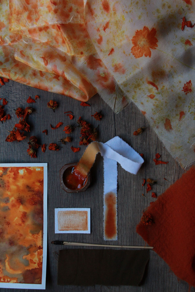 Atelier " Teinture végétale "