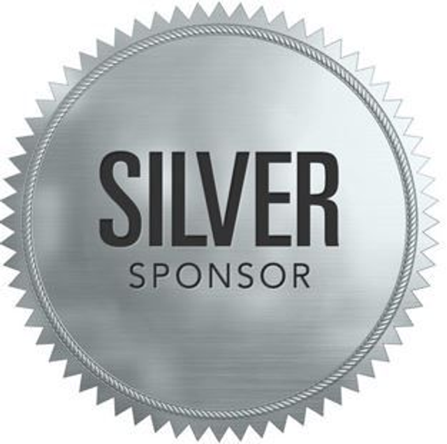 SVWM Arena SILBER Sponsor - Sitzplatz
