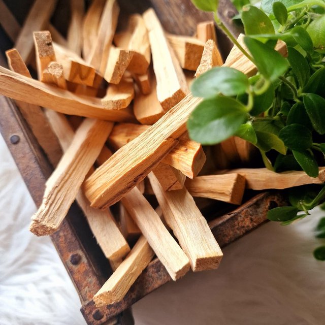 Palo Santo Ethically sourced sticks 