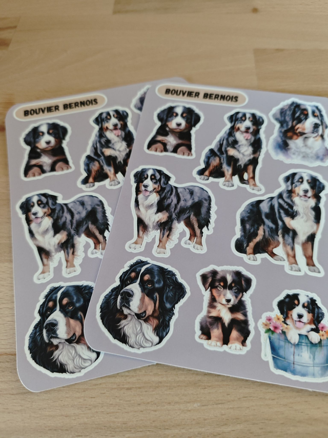 Planche stickers Bouvier Bernois