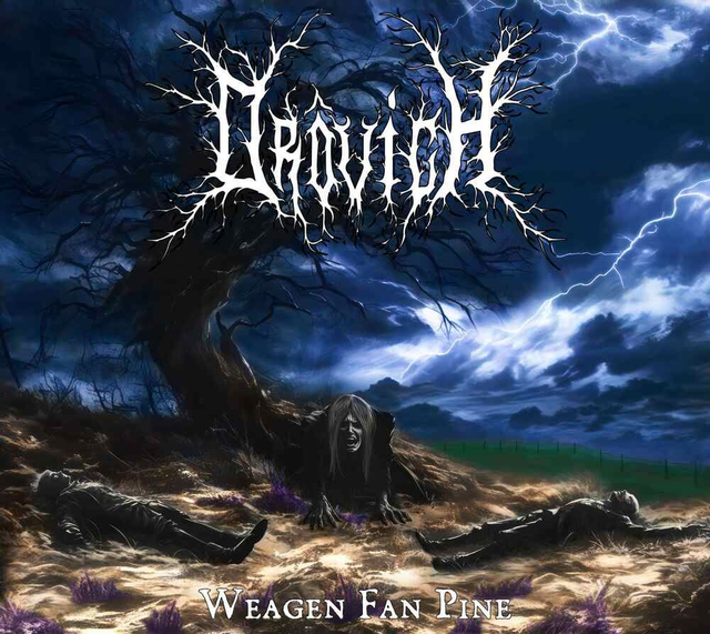 DROVICH : Weagen Fan Pine (2025)