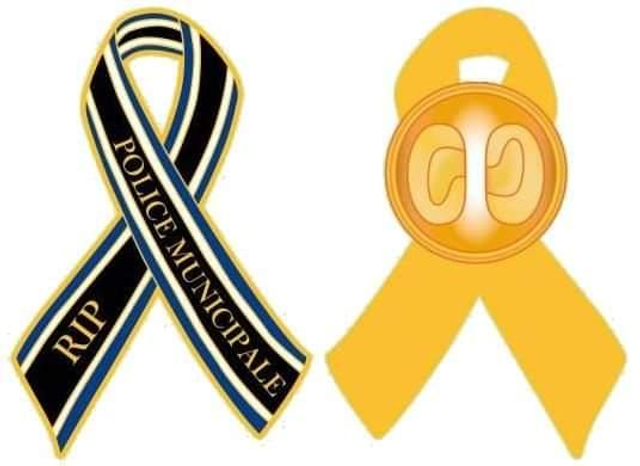 Pin&#039;s &quot;Souvenir&quot; RIP PM 