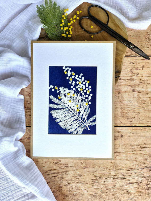 💙 Cyanotype encadré - 4 - Mimosa Ô!  