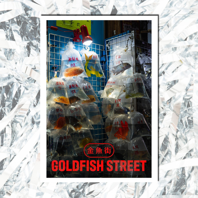 Fish Market (dessinto) - A4