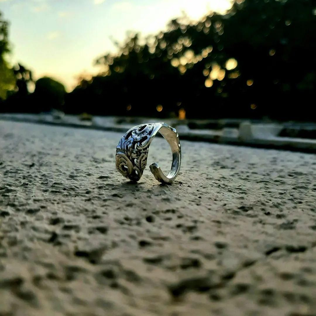 Bague plaquée argent  T54