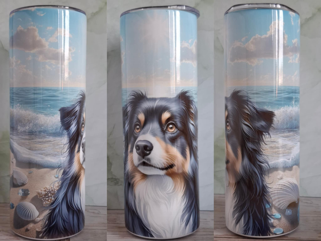 Gourde Canette plage berger australien